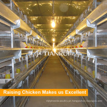 China Chicken Cage Breeding System for Sale